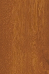 Dąb-bursztynowy.9DS